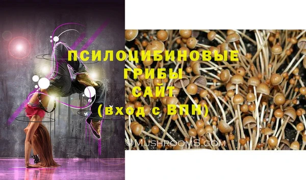 бошки Сосновоборск