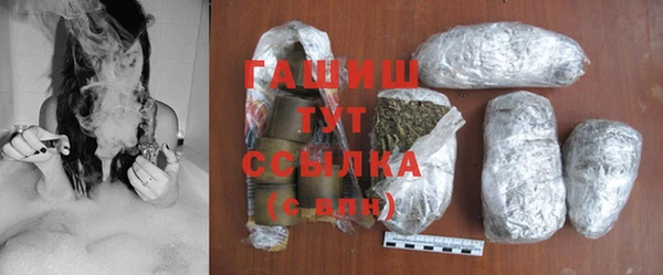 гашик Сосновый Бор