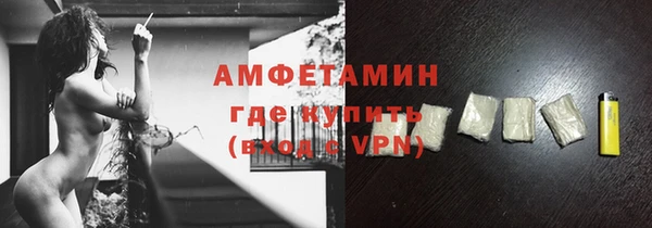 прущие грибы Абаза