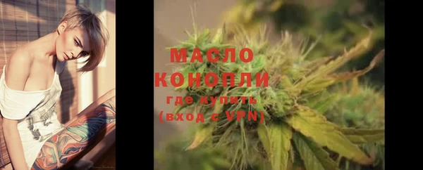 гашик Сосновый Бор
