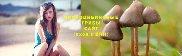 бошки Сосновоборск