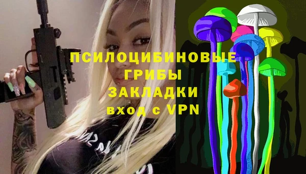 бошки Сосновоборск