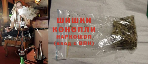 гашик Сосновый Бор