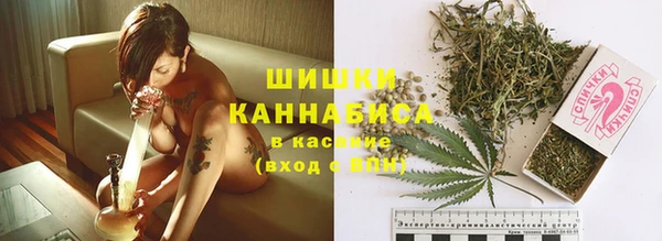 гашик Сосновый Бор