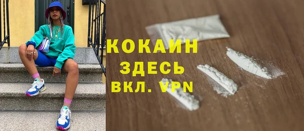 гашик Сосновый Бор
